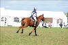 UKPA NC SAT_2503